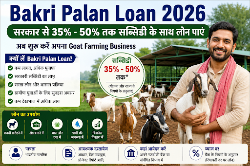 Bakri Palan Loan 2026 Goat Farming Loan Subsidy Guide Rural Finance Guide